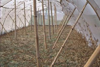image310.jpg image310.jpg
