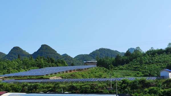 20260330177485326940.png 图片7.png